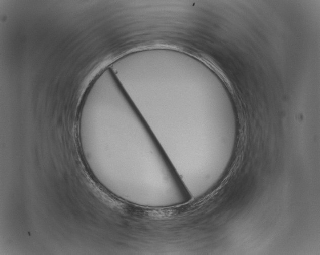 X0000067890805200605041551