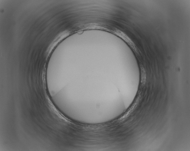 X0000067890806200605041551