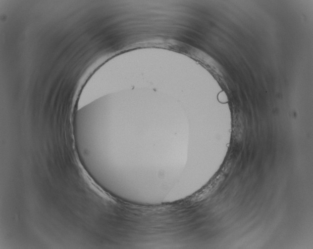 X0000067890808200605041551