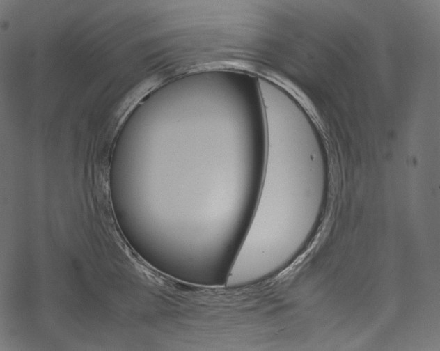 X0000067890809200605041551