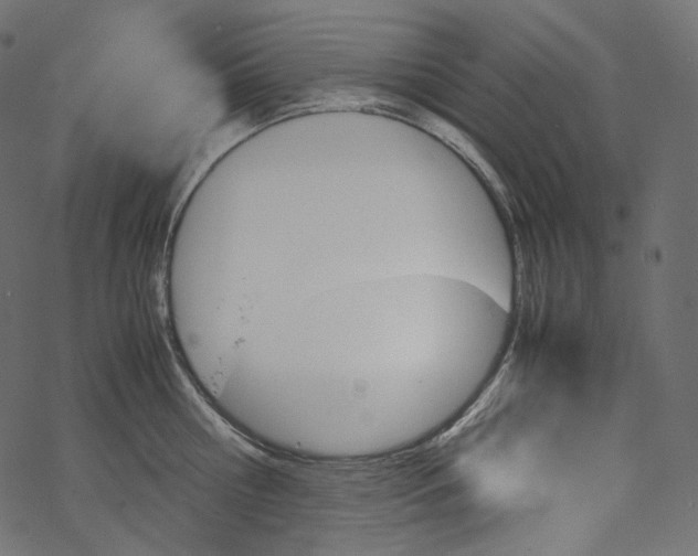 X0000067890810200605041551