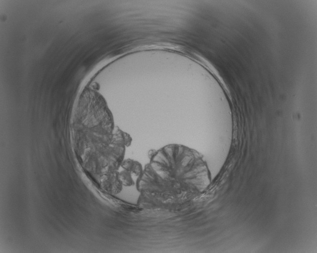 X0000067890811200605041551