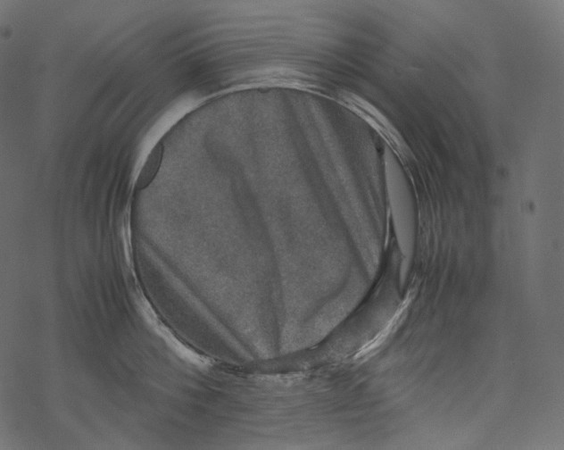 X0000067890812200605041551