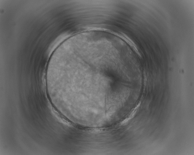 X0000067890814200605041551