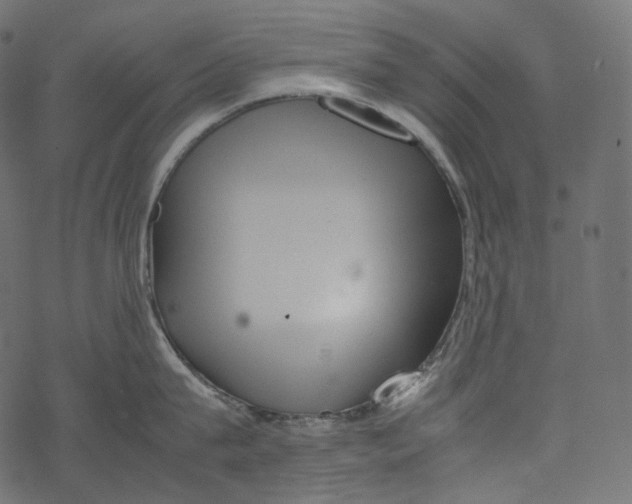 X0000067890815200605041551