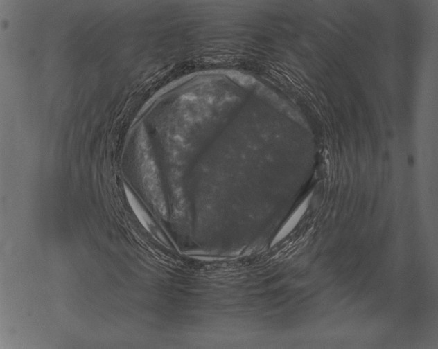 X0000067890817200605041550