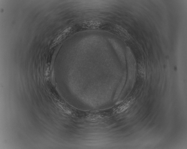 X0000067890818200605041550