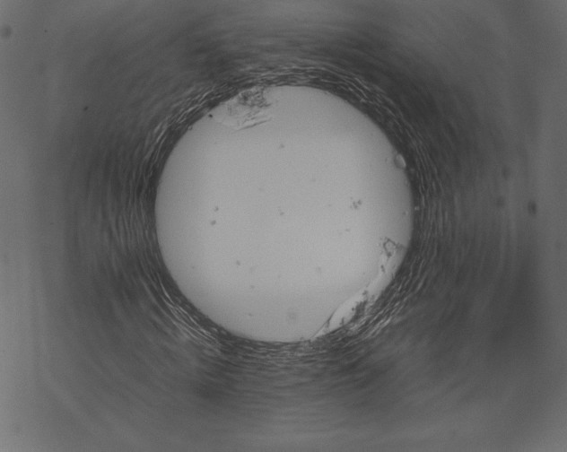 X0000067890820200605041550