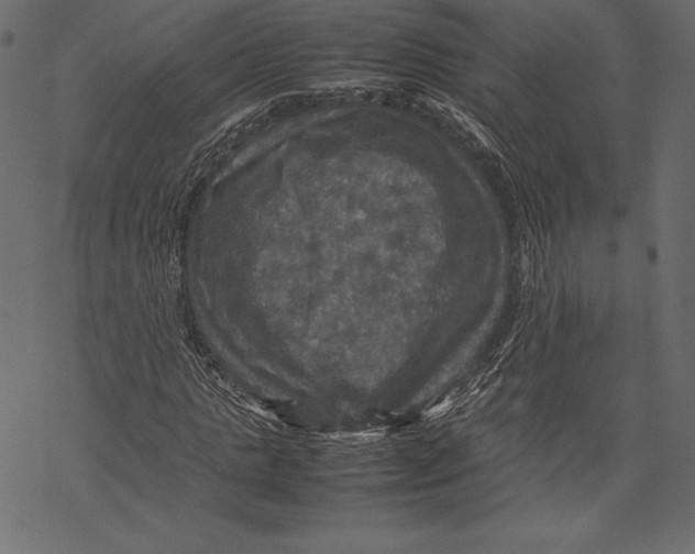 X0000067890821200605041550