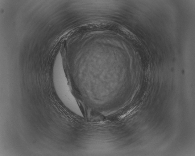 X0000067890822200605041550