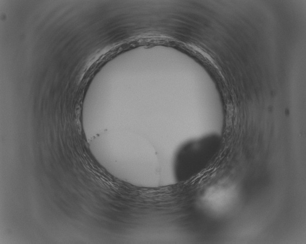 X0000067890823200605041550