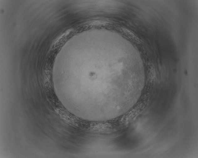 X0000067890824200605041550