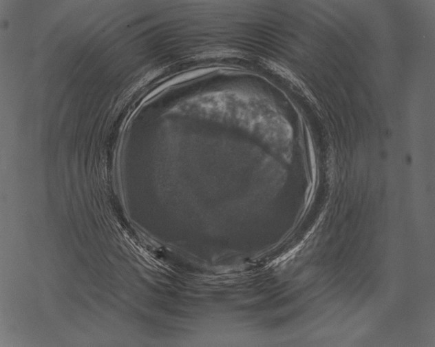 X0000067890825200605041550