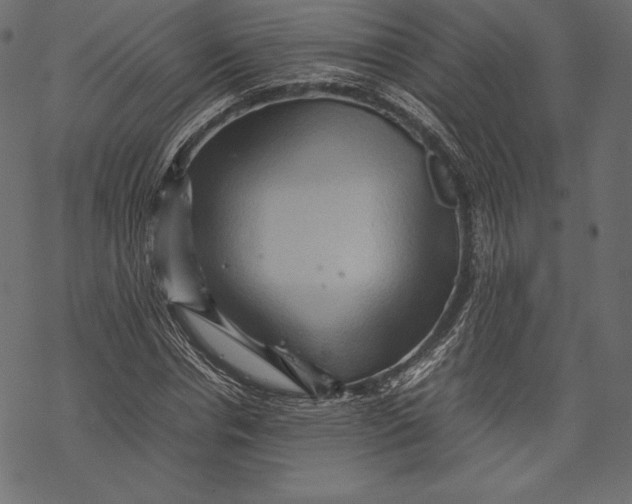 X0000067890826200605041550