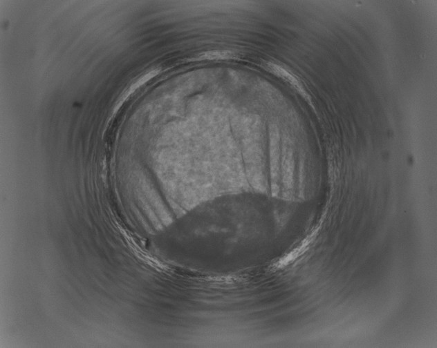 X0000067890827200605041550