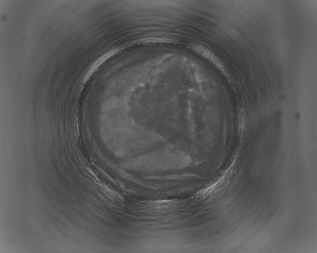 X0000067890829200605041550