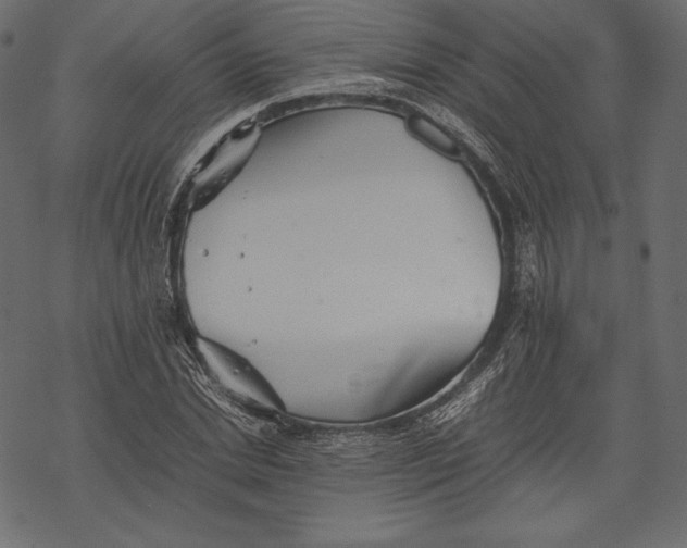 X0000067890830200605041550