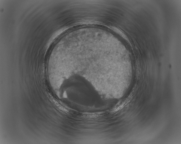 X0000067890831200605041550