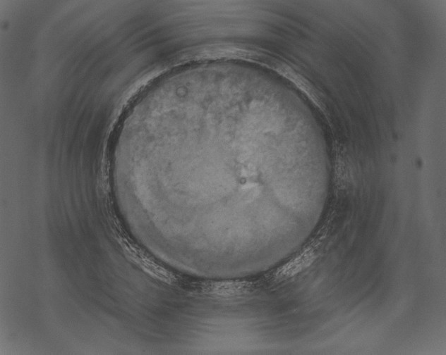 X0000067890832200605041550