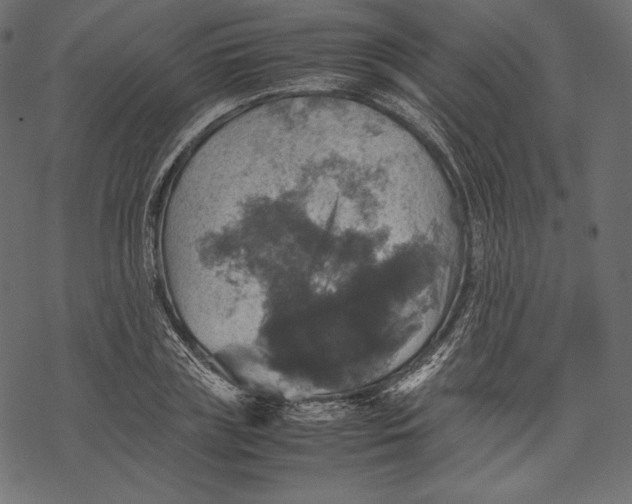 X0000067890835200605041550