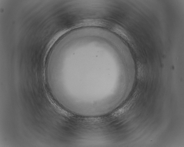 X0000067890836200605041550