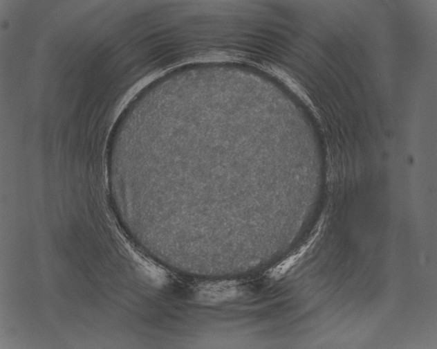 X0000067890837200605041550