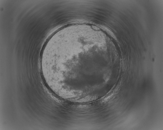 X0000067890839200605041550