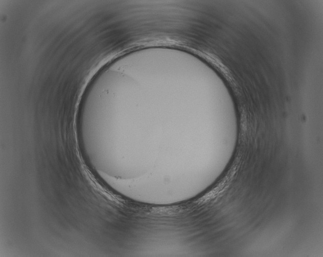 X0000067890840200605041550