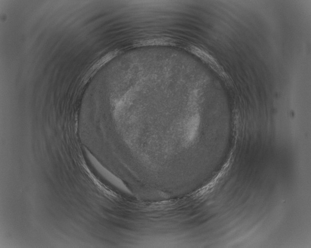 X0000067890841200605041550