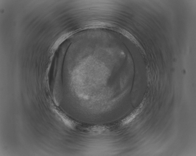 X0000067890842200605041550