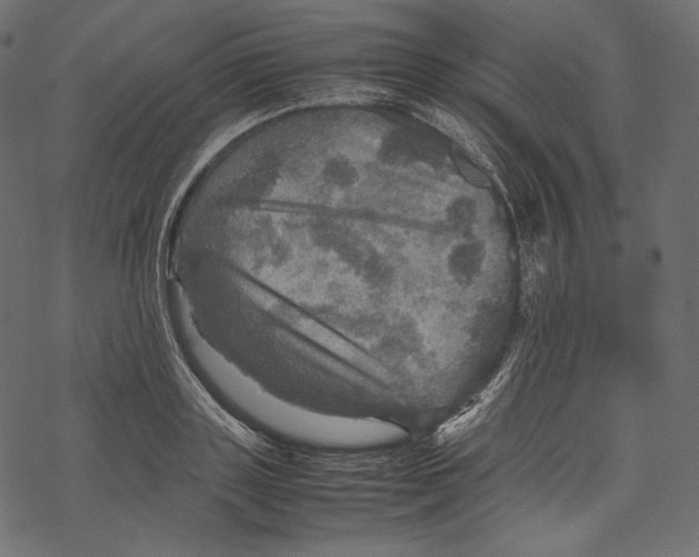 X0000067890843200605041550