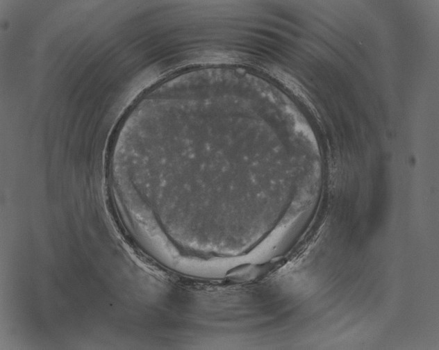 X0000067890845200605041550