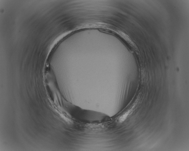 X0000067890846200605041550