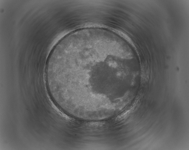 X0000067890847200605041550