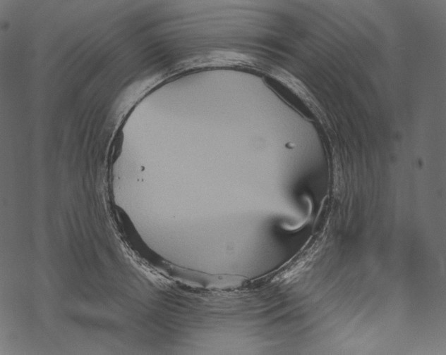 X0000067890850200605041550