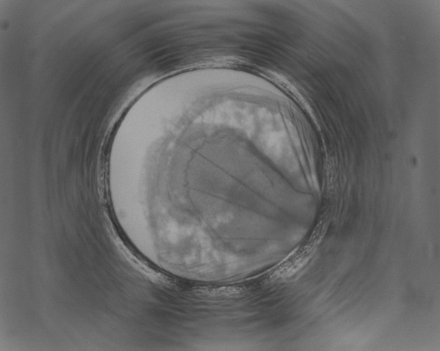 X0000067890851200605041550