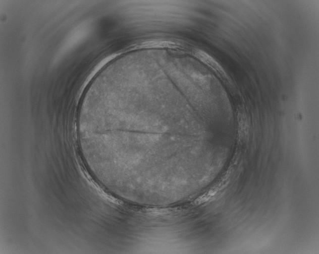 X0000067890852200605041550