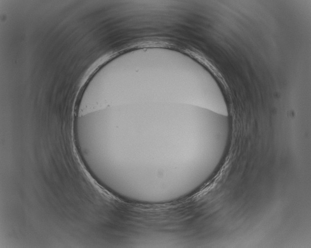 X0000067890853200605041550