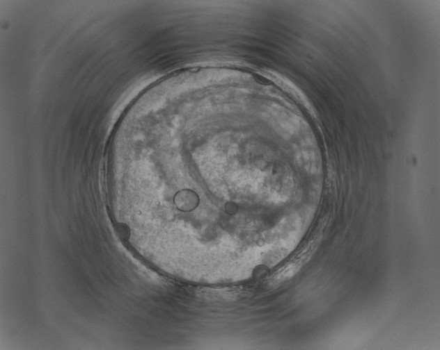 X0000067890855200605041551