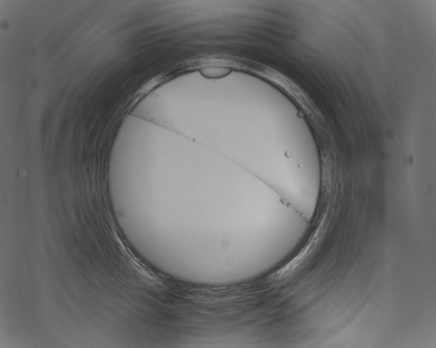 X0000067890857200605041551