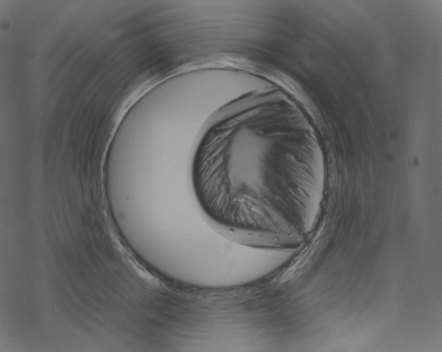 X0000067890858200605041551