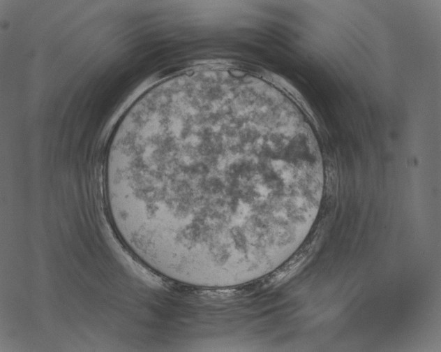 X0000067890859200605041551