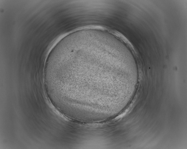 X0000067890860200605041551