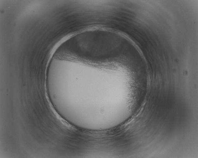 X0000067890861200605041551