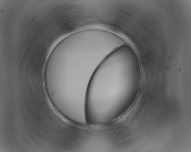 X0000067890862200605041551