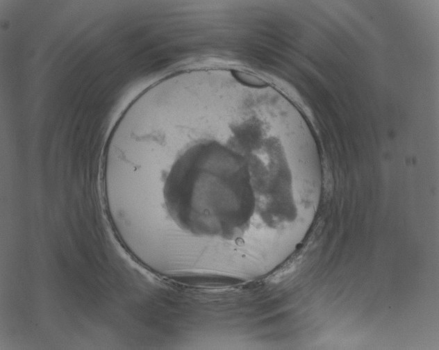 X0000067890863200605041551