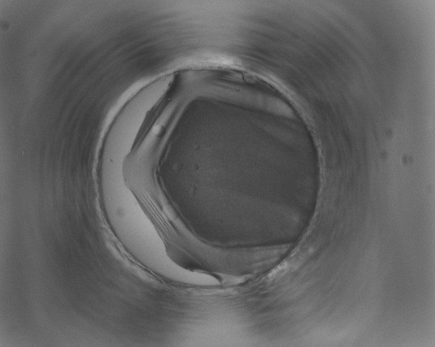 X0000067890864200605041551