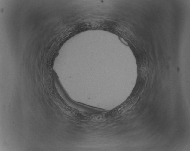 X0000067890865200605041550