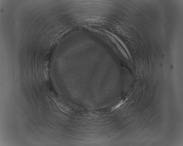 X0000067890868200605041550