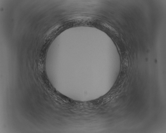 X0000067890869200605041550